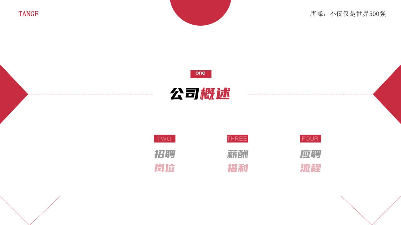 7-公司介绍 (4).pptx